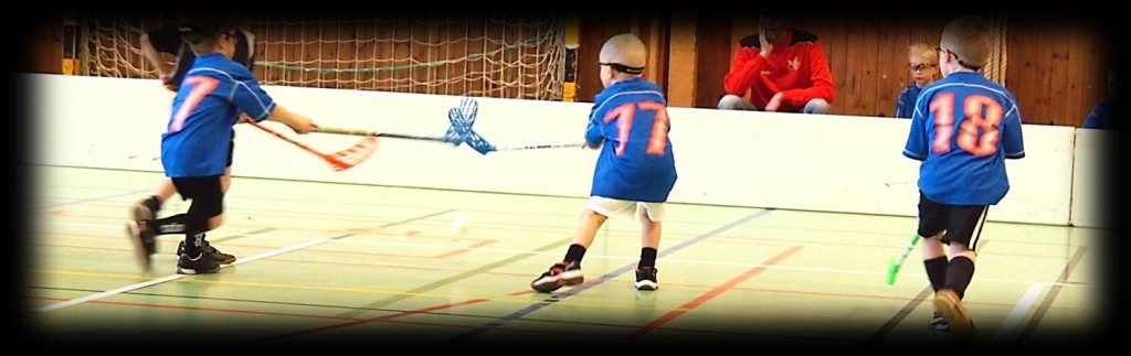 Working together as a floorball team