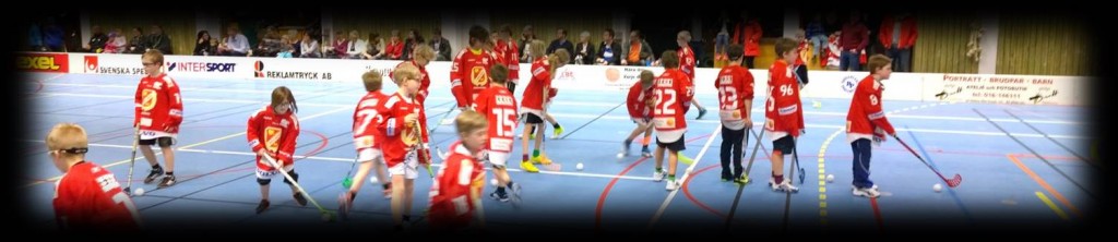 Hockey vs Floorball and team size